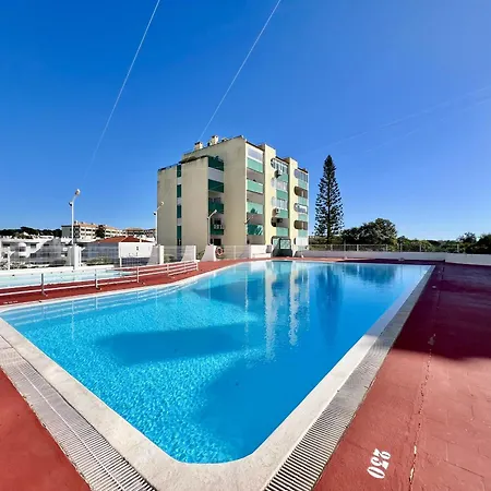 Modern With Pool By Homing *